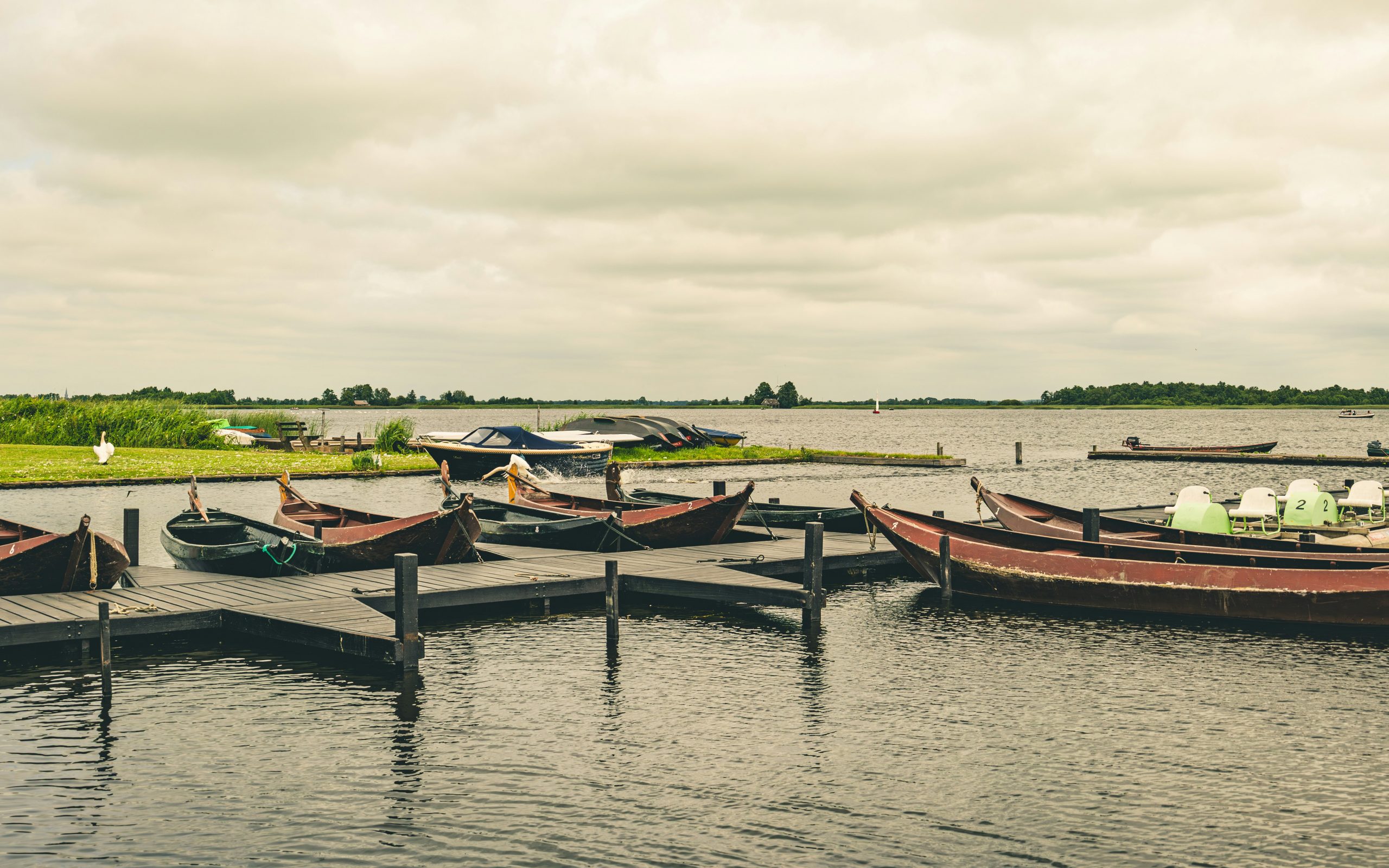 Photo by Federico Enni on Unsplash