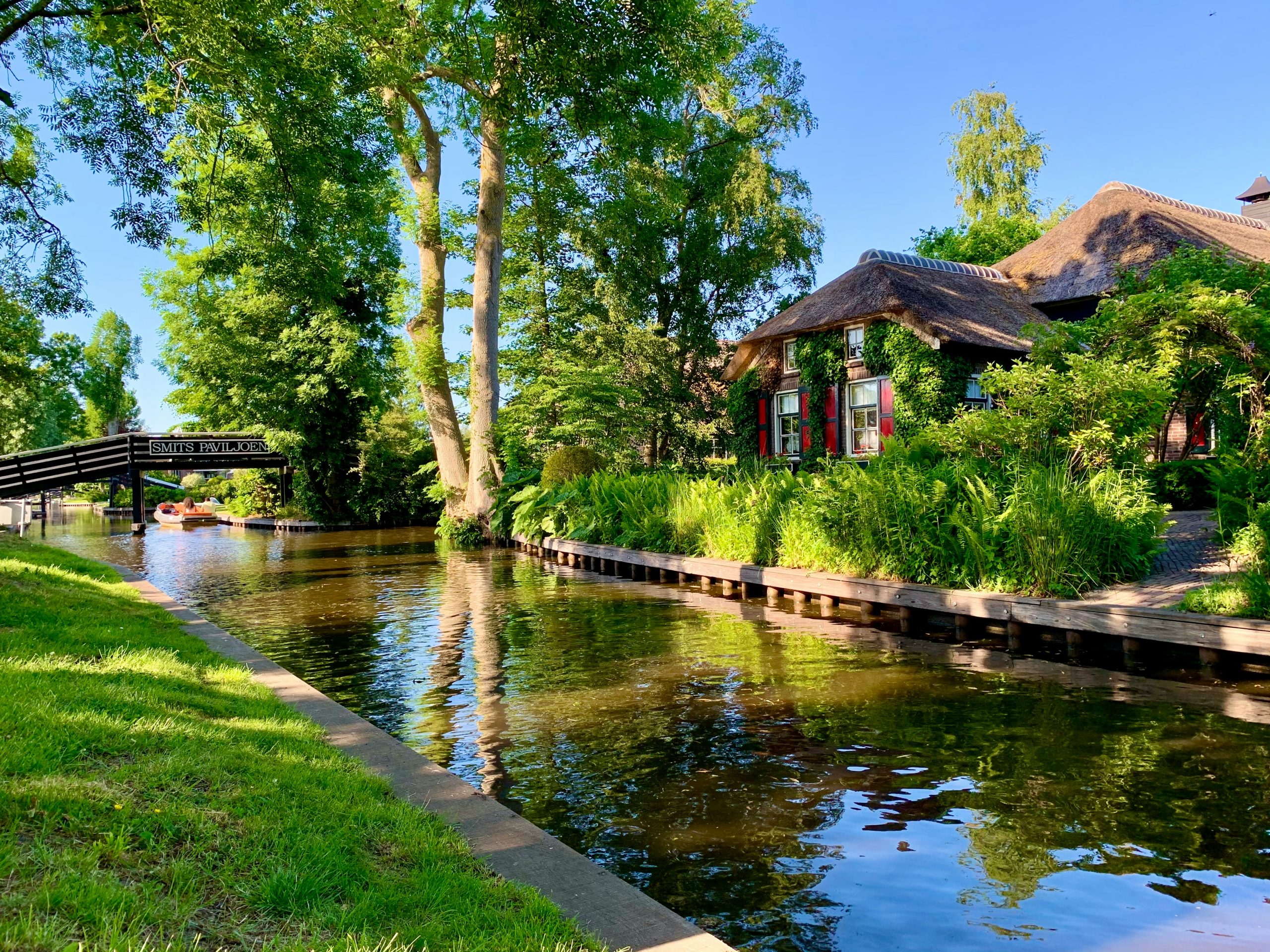 moein-foroutani-Sd3kLOZacok-unsplash